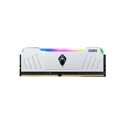 ANACOMDA ET RGB 32GB(2x16GB) 3600 MHz DDR4 UDIMM CL40 黑/白 電競記憶體