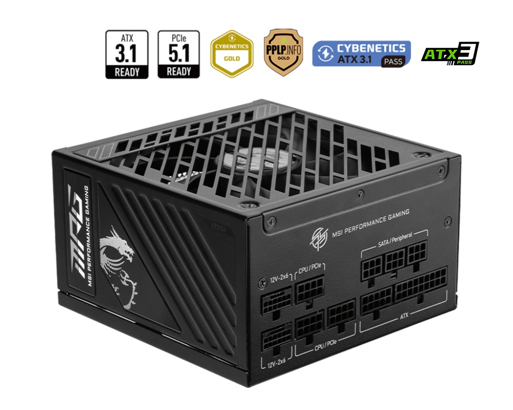MSI MPG A850GS PCIE5 850W 80Plus Gold 金牌 全模組 主機電源 (10年保)