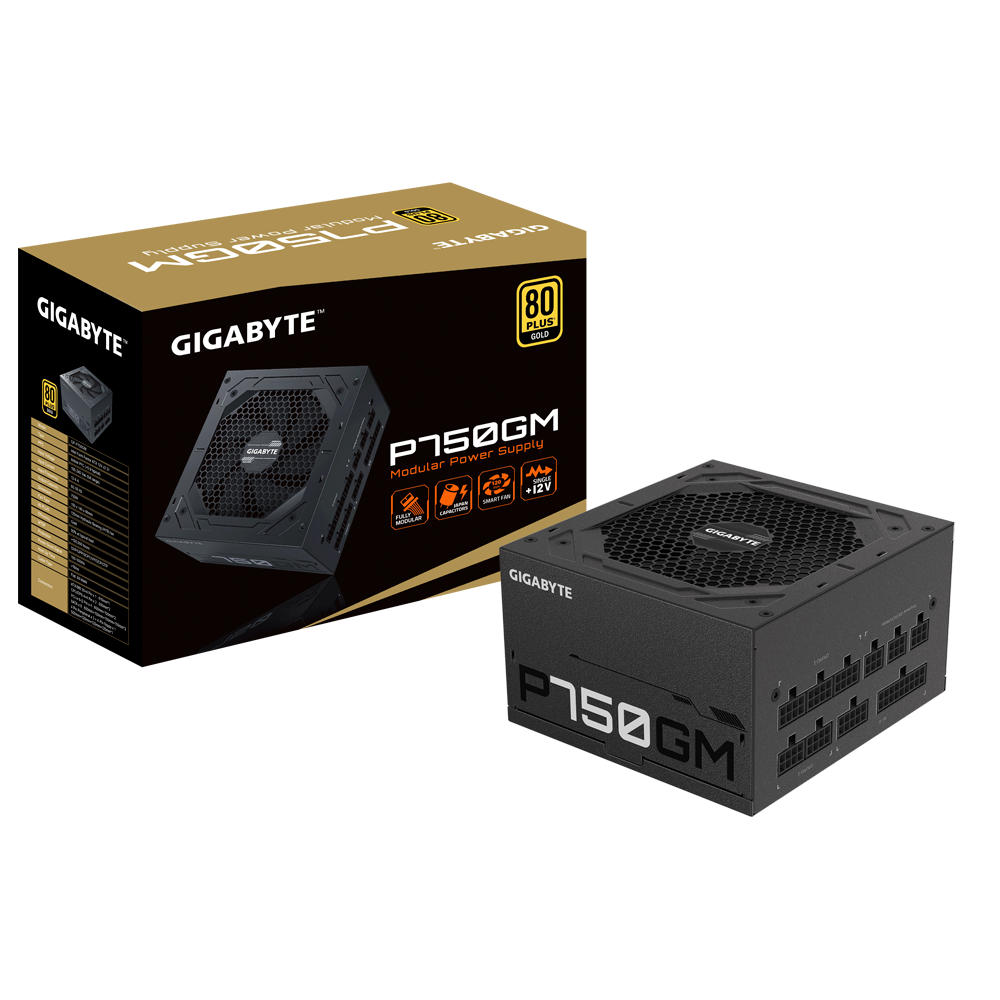 Gigabyte P750GM 750W 80Plus Gold 主機電源 金牌 火牛