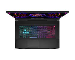 MSI Katana 17 B13VFK ( i9-13900H / RTX4060 / QHD ) Gaming Notebook
