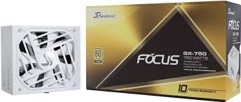 Seasonic FOCUS GX750 ATX 3.0 750W 80 Plus Gold 金牌 全模組 主機電源 (10年保) ATX3.0