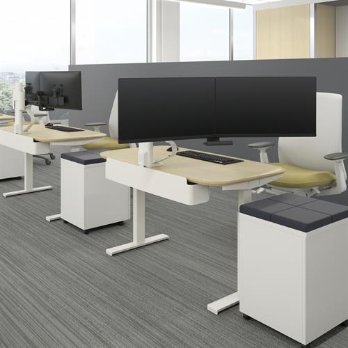 Ergotron TRACE™ Dual Monitor Mount (black/white) 