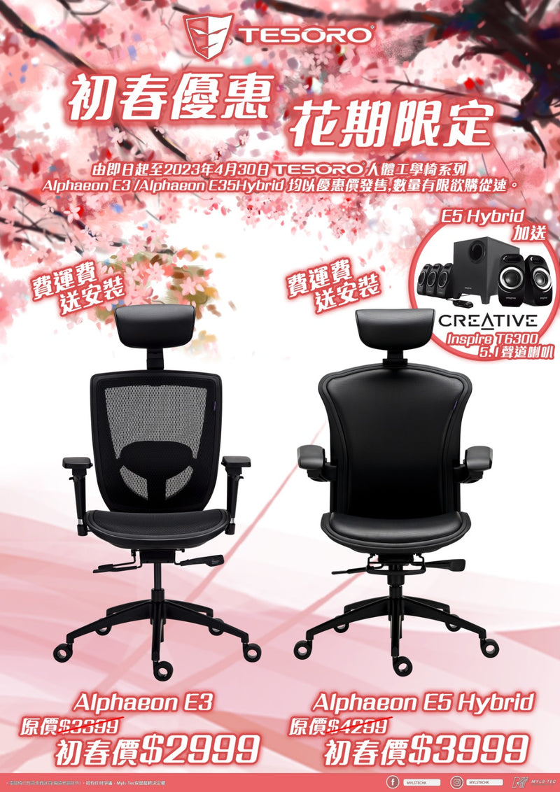 TESORO 𝘼𝙡𝙥𝙝𝙖𝙚𝙤𝙣 𝙀5 Hybrid 人體工學椅 (台灣製造｜5年保修 |包送貨免安裝費 )