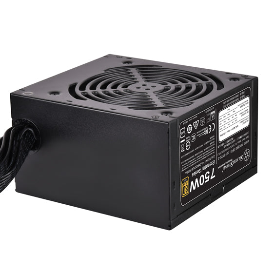 Silverstone SST ET750G 750w 80Plus Gold 主机电源(5年保养)
