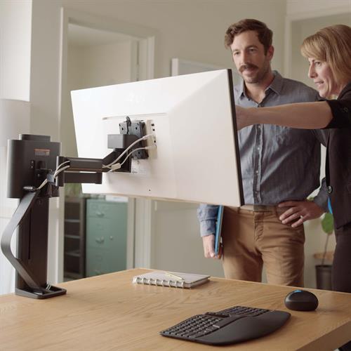 Ergotron TRACE™ Monitor Mount (matte black/white) 