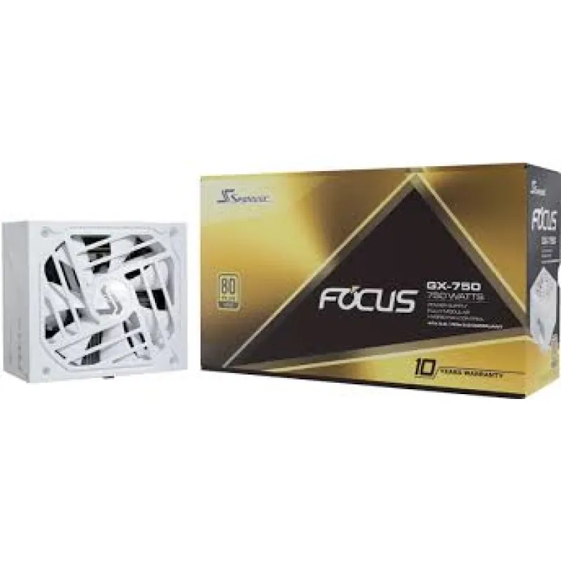 Seasonic FOCUS GX1000 ATX 3.0 1000W 80 Plus Gold 金牌 全模組 主機電源 (10年保) ATX3.1 - 白色
