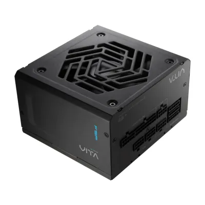 FSP VITA GM PCIe5.1 80Plus Gold 金牌 全模組 主機電源 - 黑色 / 750W