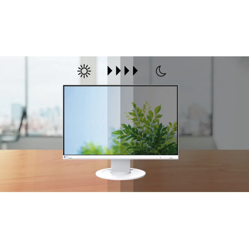EIZO EV2456 Monitor文書顯示器24”  1920 x 1200 Auto Brightness Control