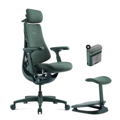 LiberNovo 清閒 omni 人體工學椅 Ergonomic Chair  [帶腳踏/ 內置電池] - 綠色 / 48cm