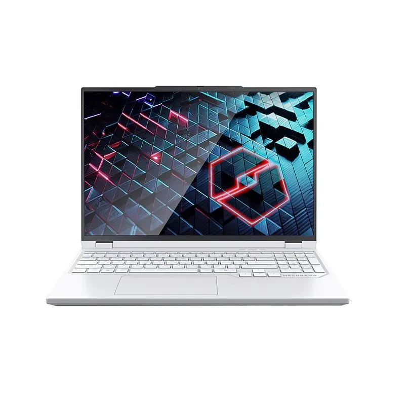 MECHREVO 機械革命 蛟龍16Pro 16吋電競手提電腦 (R9-8945HX/RTX5070/32GB/1TB/Win11Pro) NB-M16PR9E
