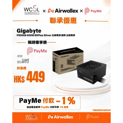 Gigabyte P650SS 650W 80Plus Silver 主機電源 銀牌 主機電源