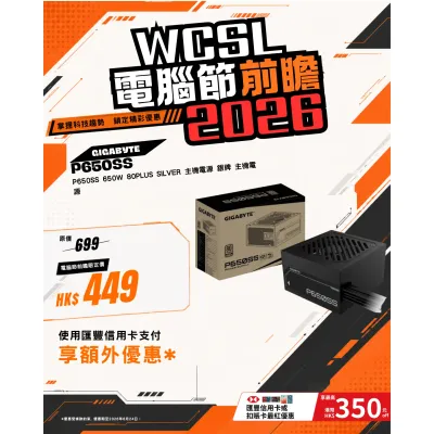 Gigabyte P650SS 650W 80Plus Silver 主機電源 銀牌 主機電源