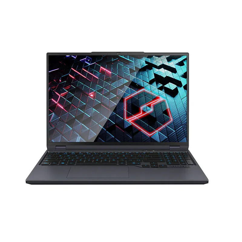 MECHREVO 機械革命 蛟龍16 PRO 灰色版 16”R7-8840HX|RTX5070|16GB RAM|1TB SSD (NB-M16PR7F)