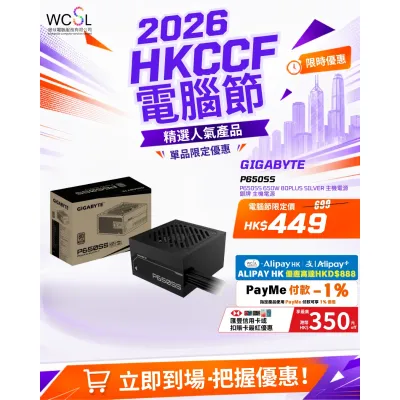 Gigabyte P650SS 650W 80Plus Silver 主機電源 銀牌 主機電源